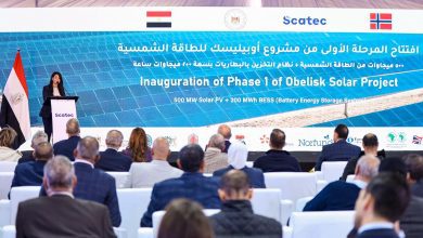 صورة “المشاط” : مصر تؤكد موقعها كمنصة للتمويلات الدولية للقطاع الخاص