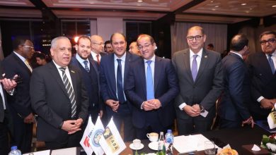 صورة وزير المالية: مصر أكبر متلق للاستثمار الأجنبي الخاص بأفريقيا في 2025/2024