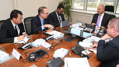 صورة “كامل الوزير” يبحث خطط “إيليت سولار” للتوسع في مصر وسبل تذليل تحدياتها