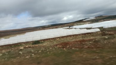 صورة إفران.. قلب أخضر في جبال الأطلس يدعم زراعة البصل والتفاح  والحمضيات ويغذي أسواق العالم