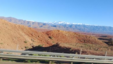 صورة من مراكش إلى أغادير: رحلة الصحفيين المصريين لمتابعة مباراة مصر وكوت ديفوار في كأس الأمم الإفريقية