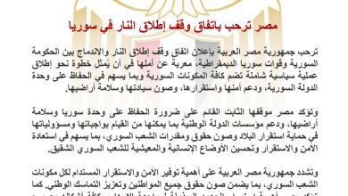 صورة مصر ترحب باتفاق وقف إطلاق النار في سوريا