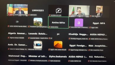 صورة وزير الخارجية يشارك في الاجتماع الافتراضي للمبادرة الرئاسية لرواد البنية التحتية ويؤكد الدور المصري في دعم مشروعات الربط الإقليمي والتنمية القارية