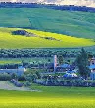 صورة من الرباط إلى أغادير… رحلة مطرية لمساندة منتخب مصر في كأس الأمم الأفريقية