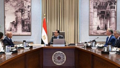 صورة رئيس الوزراء يستعرض جهود تعظيم الاستفادة من الخامات التعدينية والمحجرية في مصر