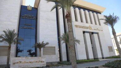 صورة 10.053 مليار جنيه تم ضخها ضمن المشروع القومى للبتلو حتى نهاية 2025