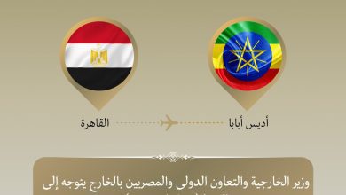 صورة وزير الخارجية يتوجه إلى أديس أبابا لرئاسة وفد مصر المشارك في اجتماعات المجلس التنفيذي وقمة الاتحاد الأفريقي