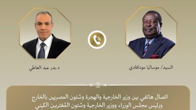 صورة وزيرا خارجية مصر وكينيا يؤكدان أهمية تعزيز التنسيق والتشاور بين البلدين إزاء القضايا الإقليمية والقارية