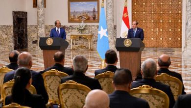 صورة الرئيس السيسي يعلن إرسال قافلة طبية مصرية إلى الصومال قريبا