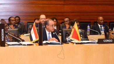 صورة وزير الخارجية يشارك في اجتماع لجنة رؤساء الدول والحكومات الأفارقة المعنية بتغير المناخ