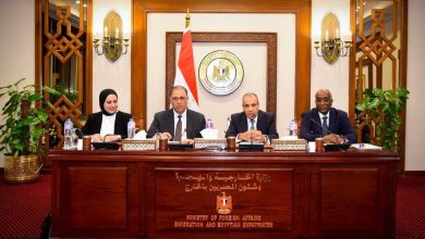صورة وزير الخارجية يوصي بضرورة تعزيز دور البعثات المصرية في جذب الاستثمارات وزيادة الصادرات