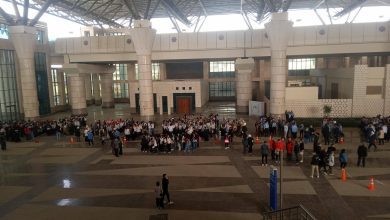 صورة “النقل”: تسيير رحلات بتخفيضات كبيرة لنقل 3000 مشارك في لقاء برامج الهيئات الشبابية بالمدينة الرياضية