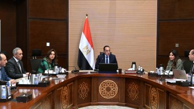 صورة رئيس الوزراء: الدولة تولي أهمية كبيرة لتنمية محافظات الصعيد في إطار رؤية مصر 2030