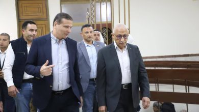 صورة وزير الزراعة : تخفيض 50%  من أسعار خدمات الميكنة وتوفير التقاوي والشتلات لابناء سيناء