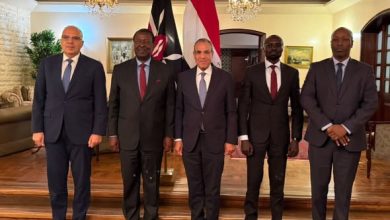 صورة وزير الخارجية يجتمع مع عدد من الوزراء الكينيين لتعزيز الشراكة الاقتصادية والتعاون في مجال إدارة الموارد المائية