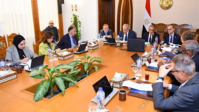 صورة وزير الخارجية يفتتح الاجتماع الأول لمجلس أمناء الوكالة المصرية للشراكة من أجل التنمية