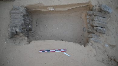 صورة الكشف عن مدينة سكنية من القرن الثامن عشر وجبانة قبطية بقنا