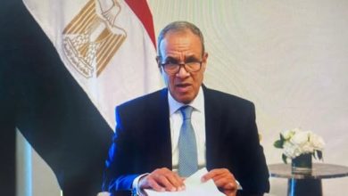 صورة وزير الخارجية يجدد أمام الدورة ٦١ لمجلس حقوق الإنسان التزام مصر بتعزيز وحماية حقوق الإنسان