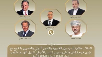 صورة اتصالات مكثفة لوزير الخارجية للدفع بمسار التهدئة في الشرق الأوسط