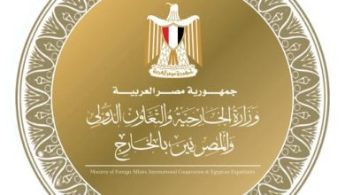 صورة وزارة الخارجية تتابع بشكل مستمر احتياجات وشئون المصريين بالخارج وتكثف جهود تيسير الخدمات المقدمة لهم