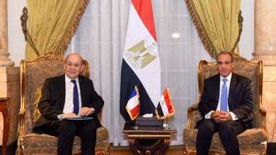 صورة وزير الخارجية يؤكد للمبعوث الشخصي للرئيس الفرنسي موقف مصر الراسخ والداعم لسيادة لبنان