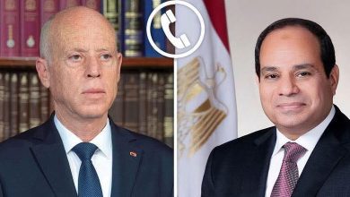 صورة الرئيس السيسي ونظيره التونسي يؤكدان أهمية مواصلة العمل المشترك لتعزيز التعاون