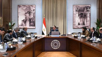 صورة رئيس الوزراء : الدولة تولي قطاع الكهرباء والطاقة اهتمامًا بالغًا