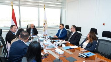 صورة باستثمارات 100 مليون دولار كمرحلة أولى .. “هيميلي” تخطط لإنتاج قوالب الإطارات بمصر