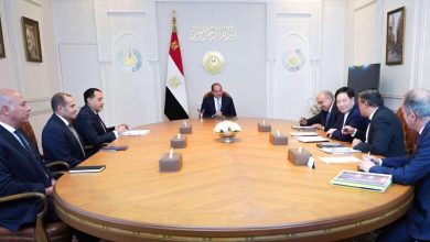 صورة الرئيس السيسي يبحث مع “GCL” الصينية التعاون في مجال الطاقة المتجددة