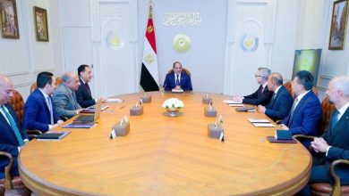 صورة السيسي يبحث تعزيز التعاون مع “سكاتك” النرويجية بمجالات الطاقة المتجددة والاستثمار الأخضر