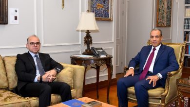 صورة وزيرا الخارجية والاستثمار يبحثان تعزيز التنسيق المشترك لجذب الاستثمارات الخارجية وتحقيق التنمية الاقتصادية