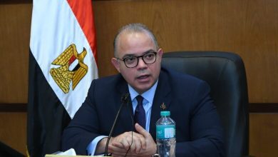 صورة وزير الاستثمار يبحث توظيف المنصات الرقمية وصناديق الاستثمار لدعم السوق العقارية