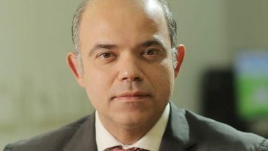 صورة السيرة الذاتية للدكتور محمد فريد وزير الاستثمار