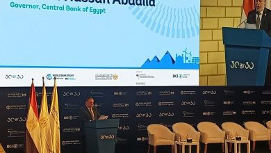 صورة محافظ البنك المركزي : توجيه القطاع المصرفي للتوسع في تقديم التمويل المستدام