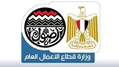 صورة بشكل رسمي .. إلغاء وزارة قطاع الأعمال العام