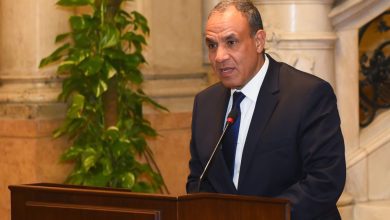 صورة وزير الخارجية يؤكد تضامن ووقوف مصر الكامل مع قطر وسائر الدول الخليجية الشقيقة