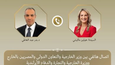 صورة وزير الخارجية : استمرار التصعيد العسكري سيؤدى إلى تفاقم الأوضاع واتساع رقعة الصراع بالمنطقة