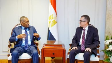 صورة وزير التخطيط مع السفير السوداني آليات دعم إعادة الإعمار ونقل الخبرات المصرية وتعزيز الشراكة التنموية