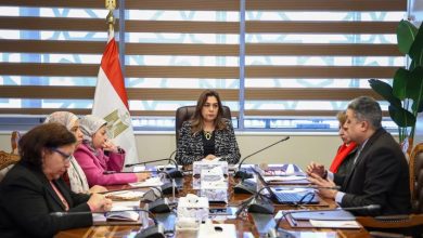 صورة وزيرة التنمية المحلية والبيئة :  تعزيز التنمية المحلية والدعم الفني فى اربعة  محافظات