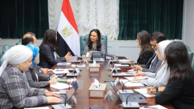 صورة وزيرة التضامن  تلتقي الممثلة المقيمة لبرنامج الأمم المتحدة الإنمائي في مصر
