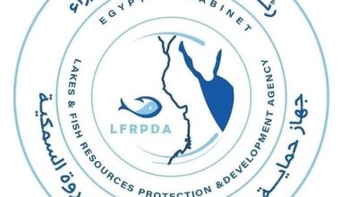 صورة إنتاج 55 طنًا من الأسماك بمزرعة برسيق ومحطة تحضين الخاشعة