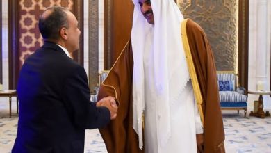 صورة وزير الخارجية ينقل رسالة دعم وتضامن مصر التام إلى أمير دولة قطر ويبحث سبل خفض التصعيد الإقليمي