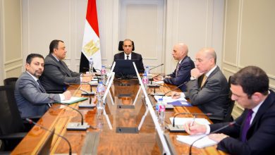 صورة وزير الخارجية يؤكد موقف مصر الداعم لدول الخليج والمتضامن معها في مواجهة الاعتداءات الإيرانية