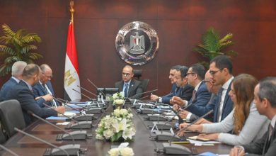 صورة د. فريد : إنشاء مشروع متكامل للطاقة الخضراء ومركز بيانات عالمي بسيناء باستثمارات تتجاوز مليار دولار