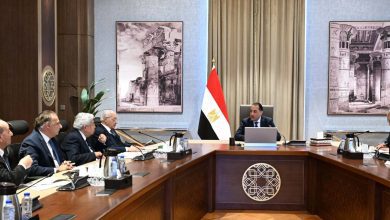 صورة مدبولي :الرئيس السيسى ومختلف الاجهزة يبذلون جهودا لوقف التصعيد بالمنطقة واحتواء تداعياته