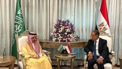 صورة وزير الخارجية يبحث مع نظيره السعودي جهود التهدئة الإقليمية وتغليب المسار الدبلوماسي