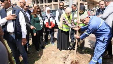 صورة وزيرة التنمية المحلية تتفقد زراعة الجزيرة الوسطى بشارع مصطفى كامل ضمن المرحلة الرابعة لمبادرة “100 مليون شجرة”