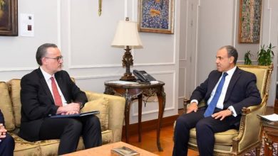 صورة وزير الخارجية يستقبل وفد من البنك الأوروبي للاستثمار لبحث التداعيات الاقتصادية في المنطقة