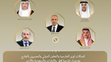 صورة مصر تتواصل مع دول الخليج والأردن لوقف التصعيد الإيراني وتأمين استقرار المنطقة