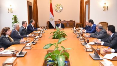 صورة وزير الخارجية يوجه بتكثيف متابعة أوضاع المصريين بالخارج وتيسير الخدمات القنصلية